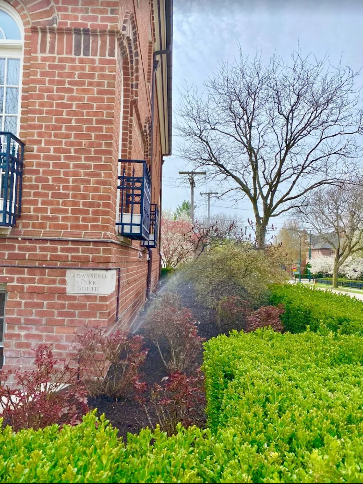 Commercial sprinkler system at brick building with hedges in Warren, Michigan — Elite Sprinkler Systems