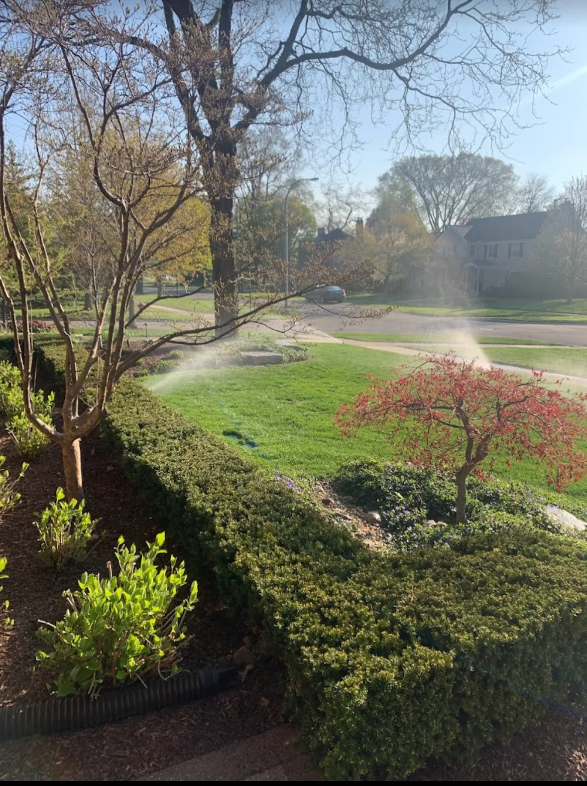 Drip irrigation system running in a Michigan spring garden — Elite Sprinkler Systems