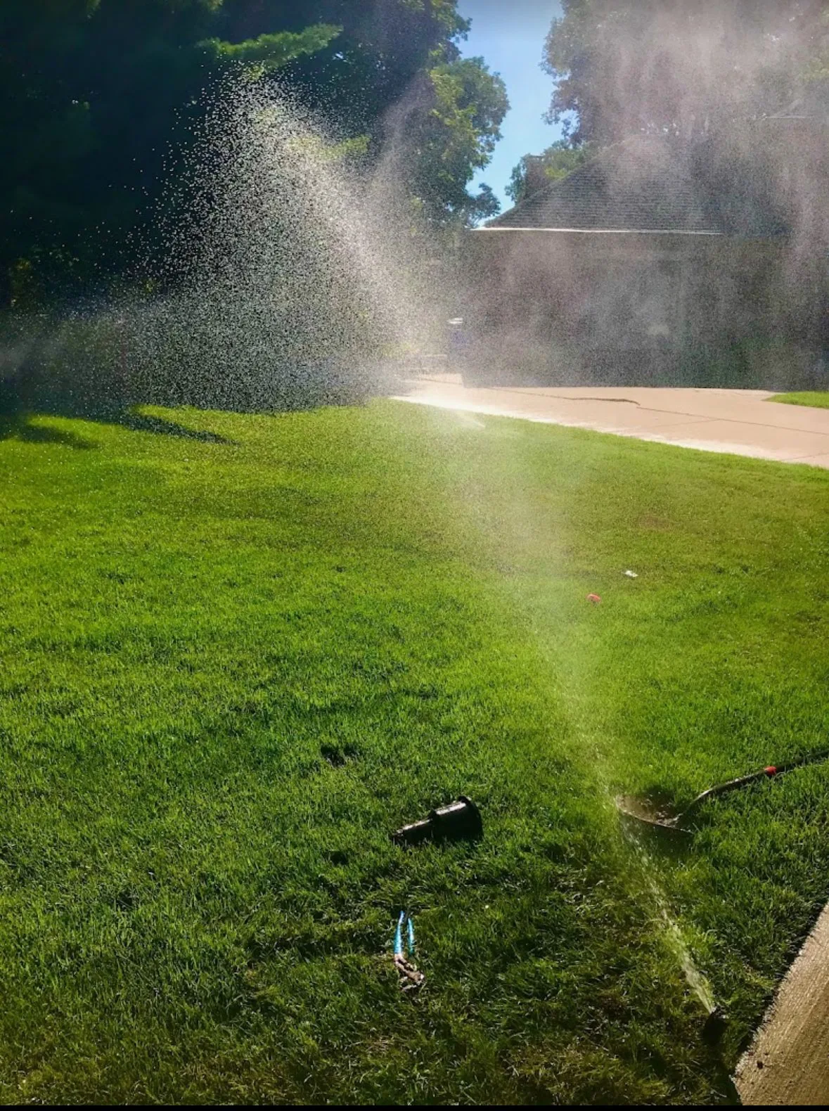 Sprinkler arc watering a lush green lawn in Berkley, Michigan — Elite Sprinkler Systems