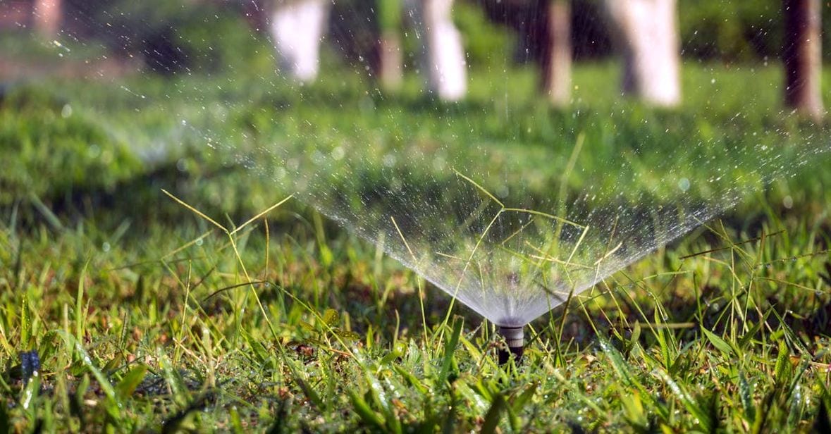 Precision sprinkler spray close-up showing fine droplet coverage for drip irrigation in Sterling Heights, Michigan — Elite Sprinkler Systems.