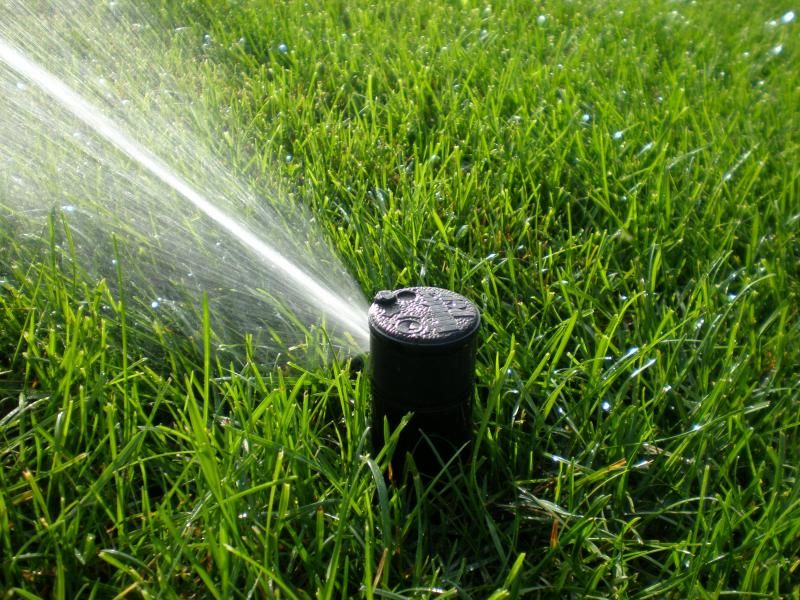 Close-up of a sprinkler head that may need repair on a Metro Detroit lawn